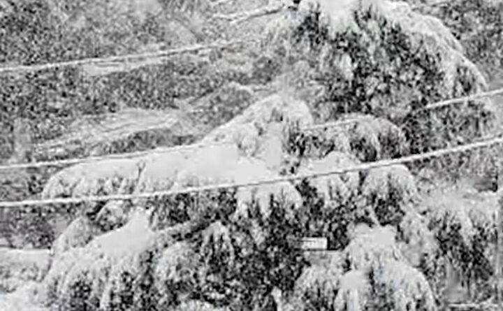 उत्तराखंड में बर्फबारी व हिमस्खलन का अलर्ट, प्रशासन सतर्क