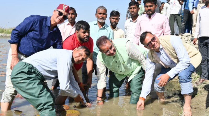 हरिद्वार में मखाना खेती की शुरुआत, कृषि मंत्री गणेश जोशी ने किया रोपण